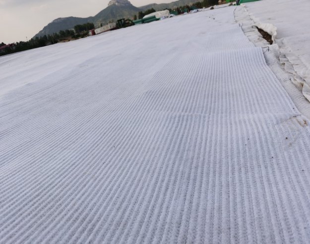 大埔膨润土防水毯